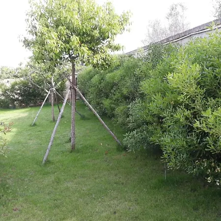 Terra E Colori Lägenhetshotell Gallipolli