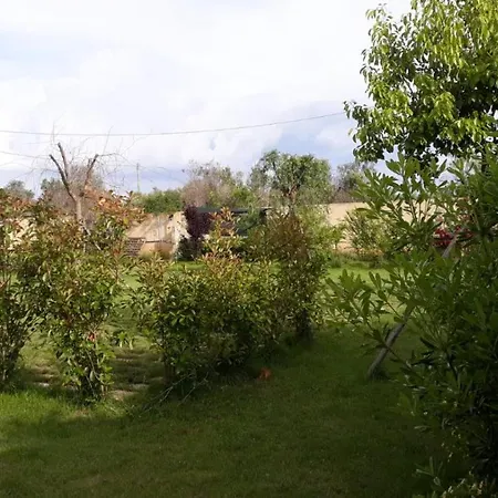 Terra E Colori 3* Gallipolli