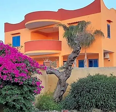 Terra E Colori Gallipoli