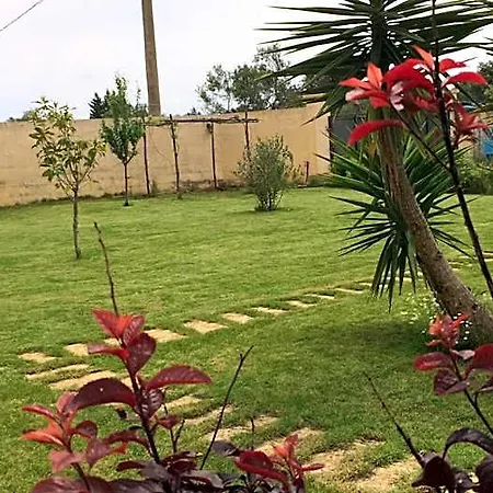 Terra E Colori 3*