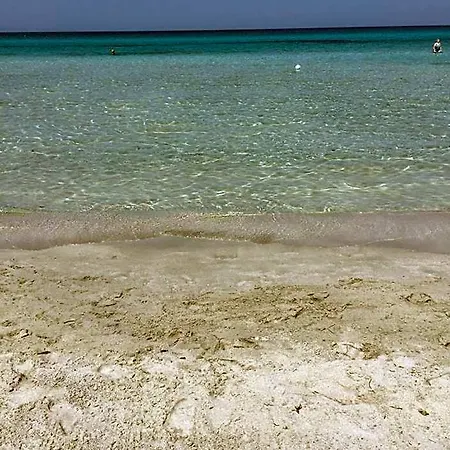 Terra E Colori 3*