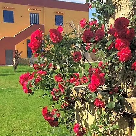 Terra E Colori Gallipoli